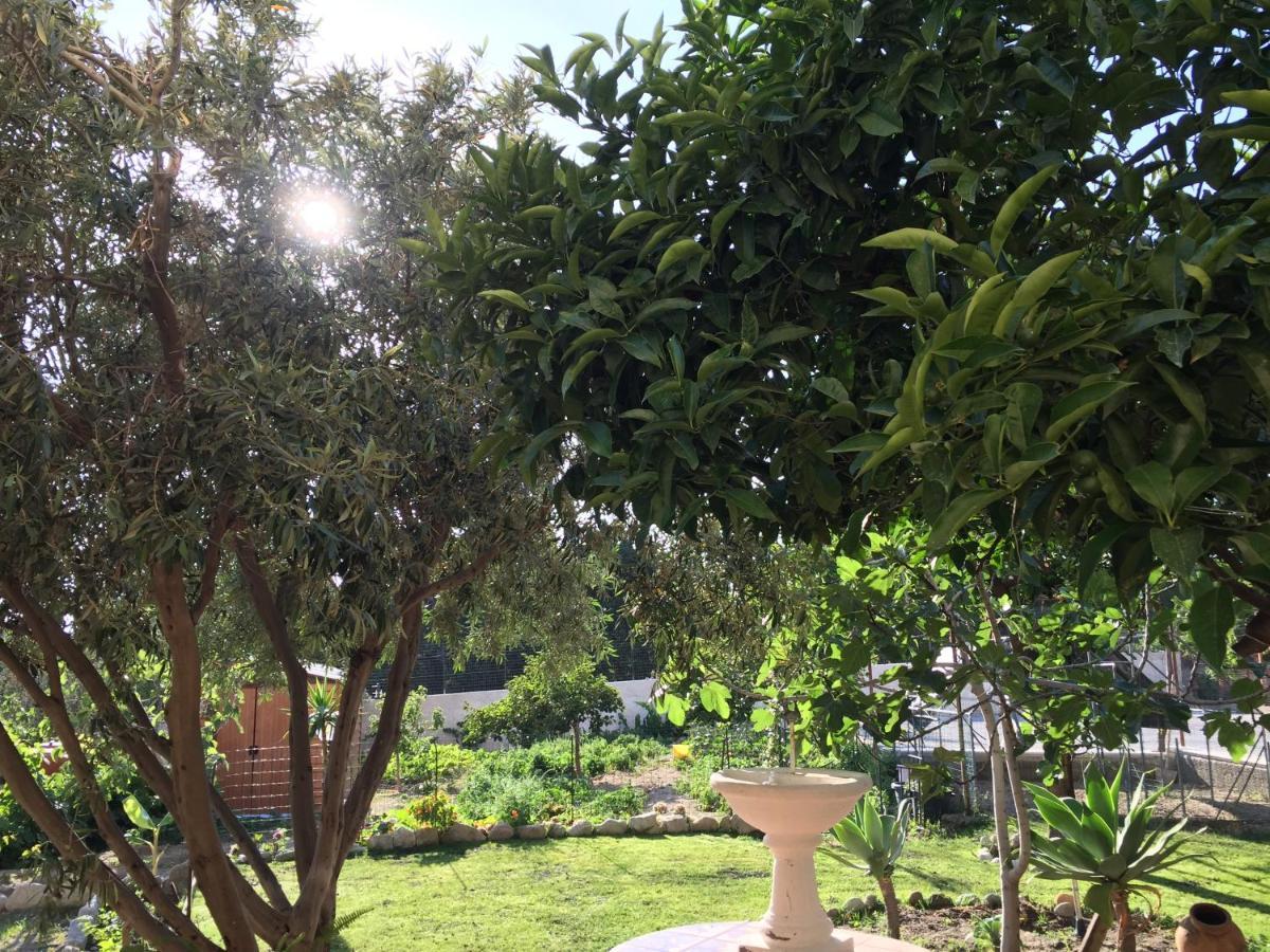 B&B Villa Magna Grecia Lazzaro Kültér fotó